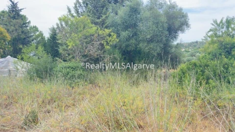 Terreno para Venda em Loule (São Sebastião)