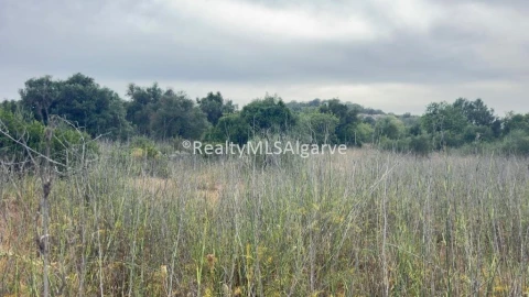 Terreno para Venda em Loule (São Sebastião)