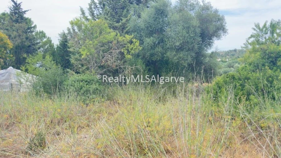 Terreno para Venda em Loule (São Sebastião) Foto 4