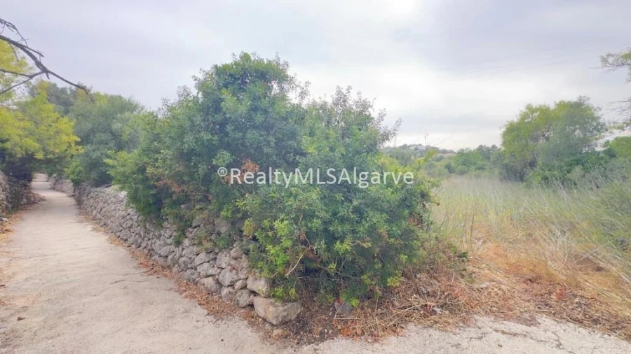 Terreno para Venda em Loule (São Sebastião) Foto 5