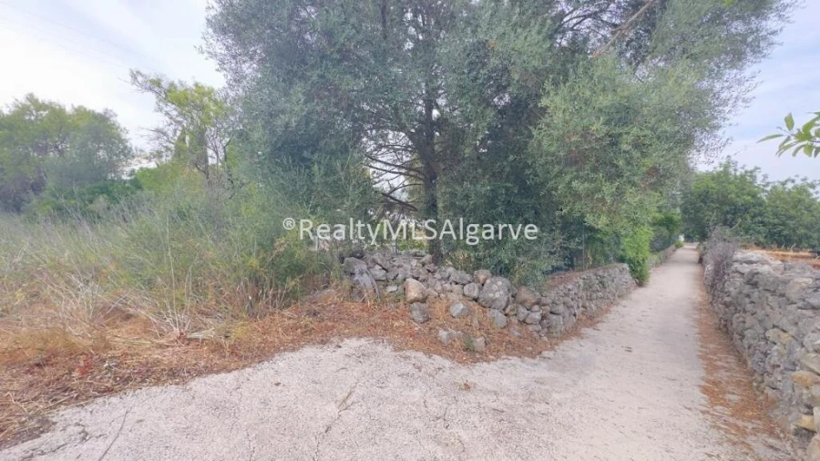 Terreno para Venda em Loule (São Sebastião) Foto 6