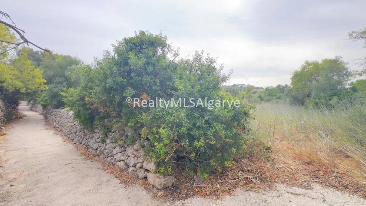Terreno para Venda em Loule (São Sebastião) Foto 5