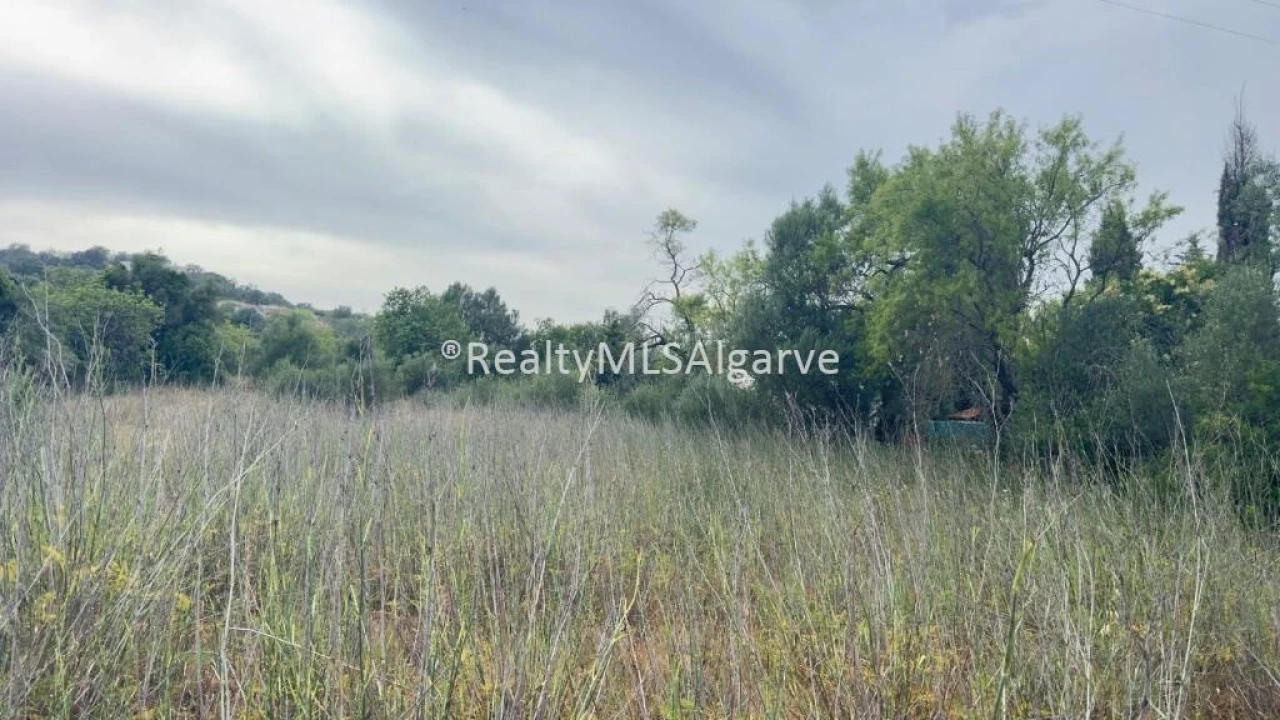 Terreno para Venda em Loule (São Sebastião) Foto 3