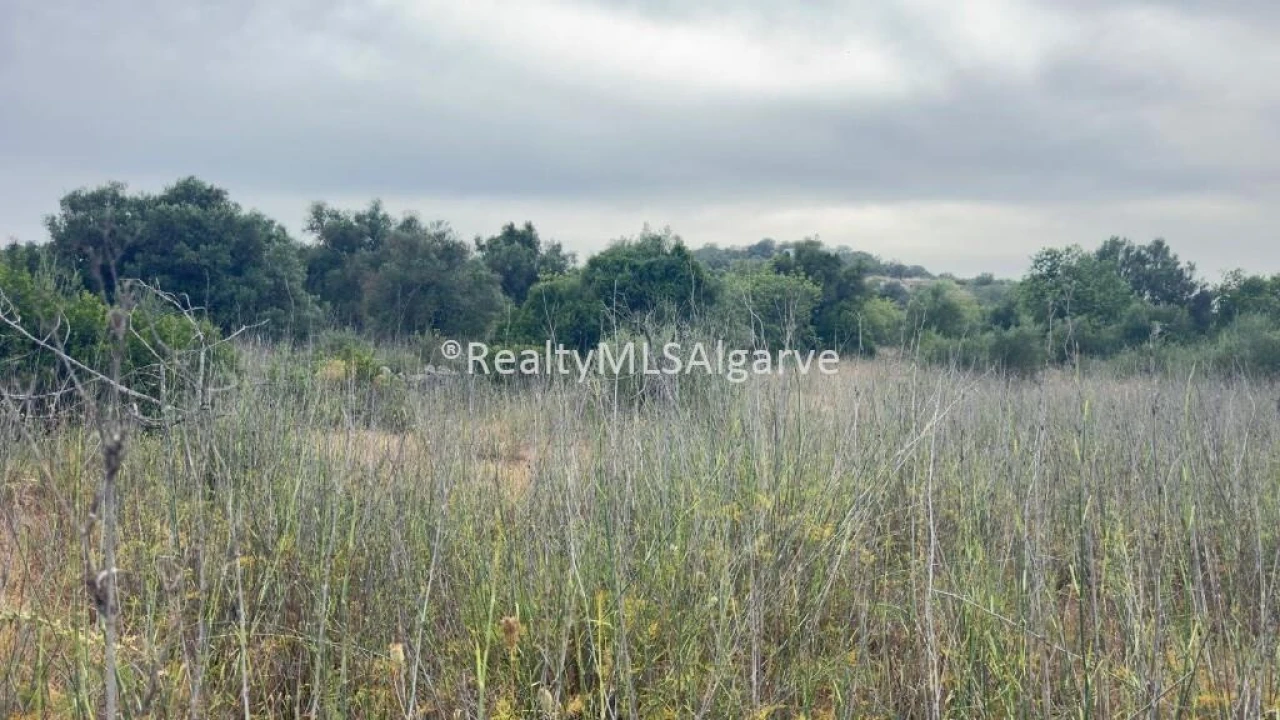 Terreno para Venda em Loule (São Sebastião) Foto 1