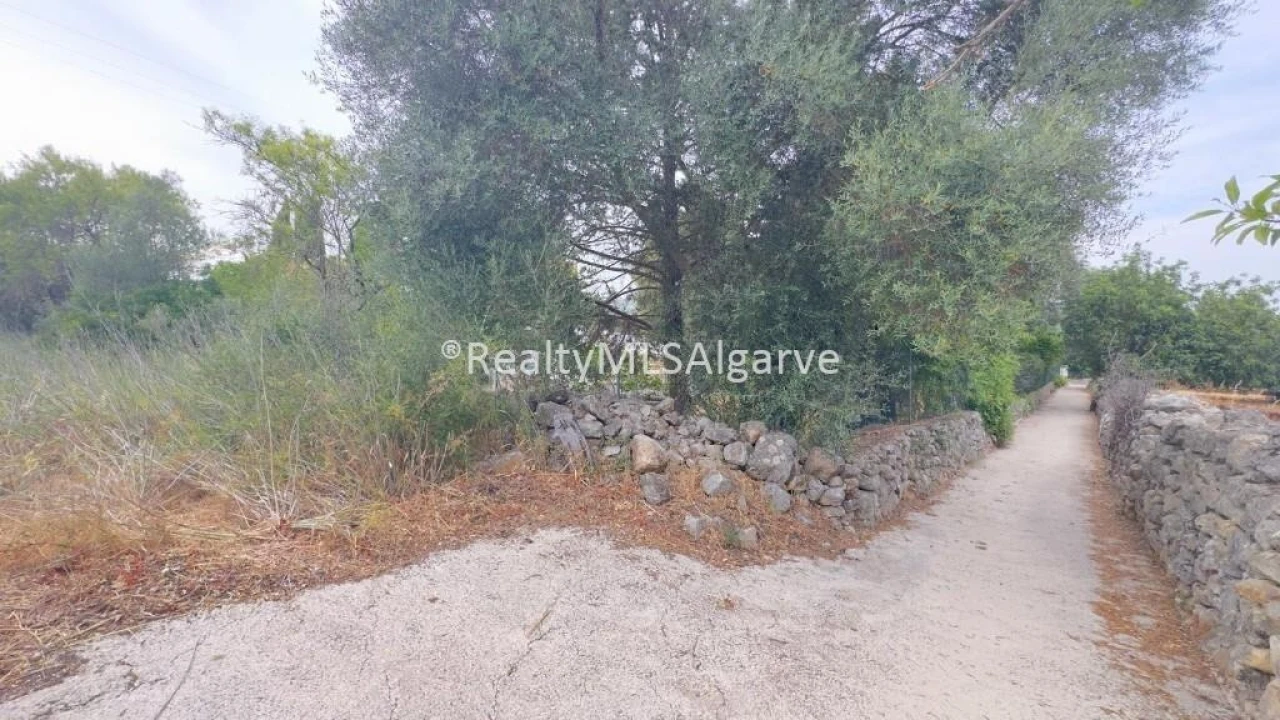 Terreno para Venda em Loule (São Sebastião) Foto 6