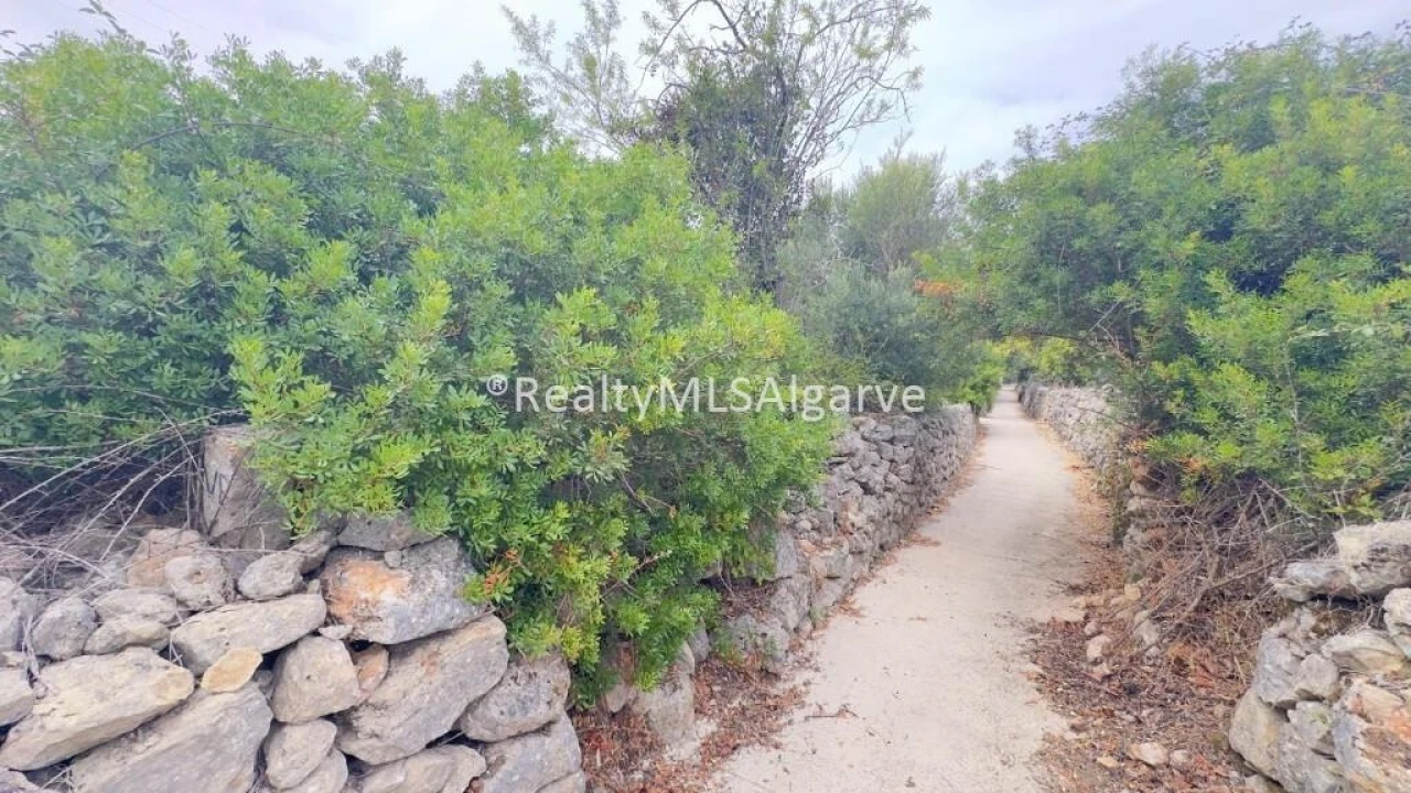 Terreno para Venda em Loule (São Sebastião) Foto 7