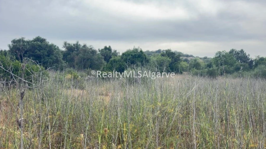 Terreno para Venda em Loule (São Sebastião)