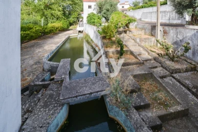 Quinta T8 para Venda em Alcórrego e Maranhão