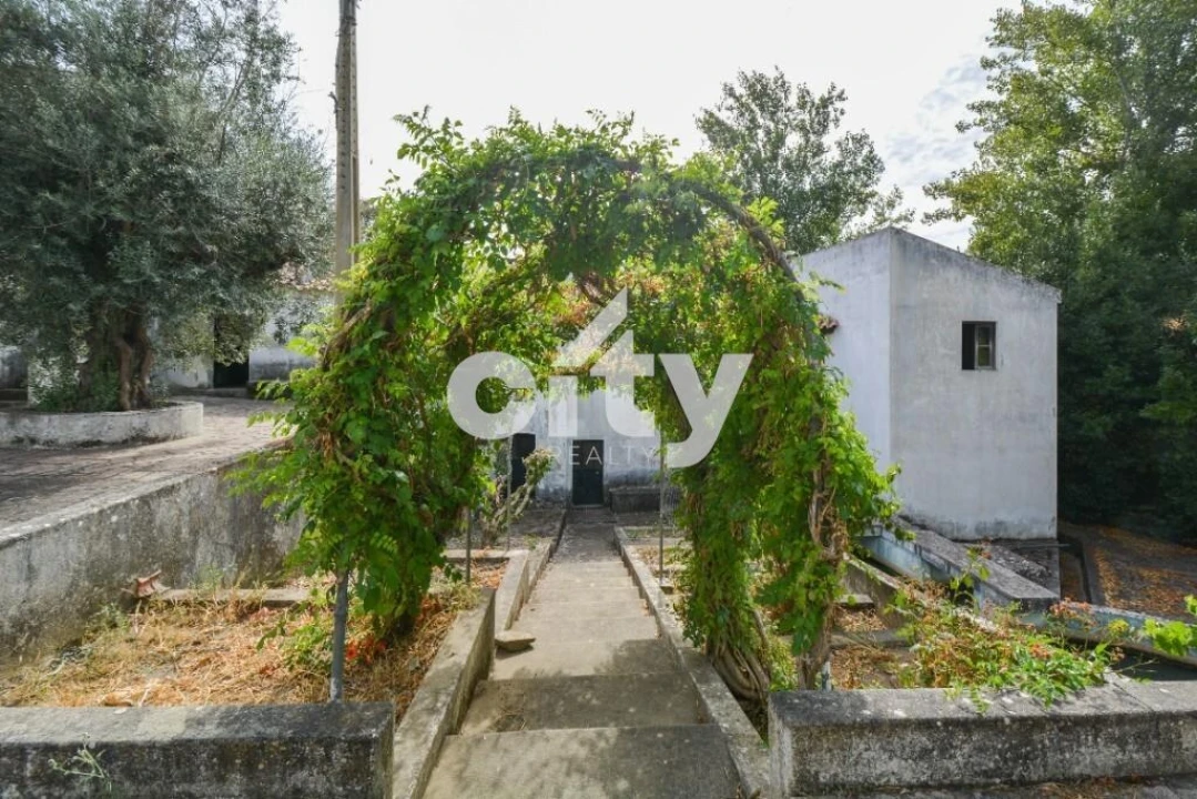 Quinta T8 para Venda em Alcórrego e Maranhão Foto 18