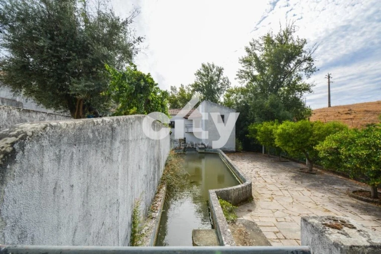 Quinta T8 para Venda em Alcórrego e Maranhão Foto 17