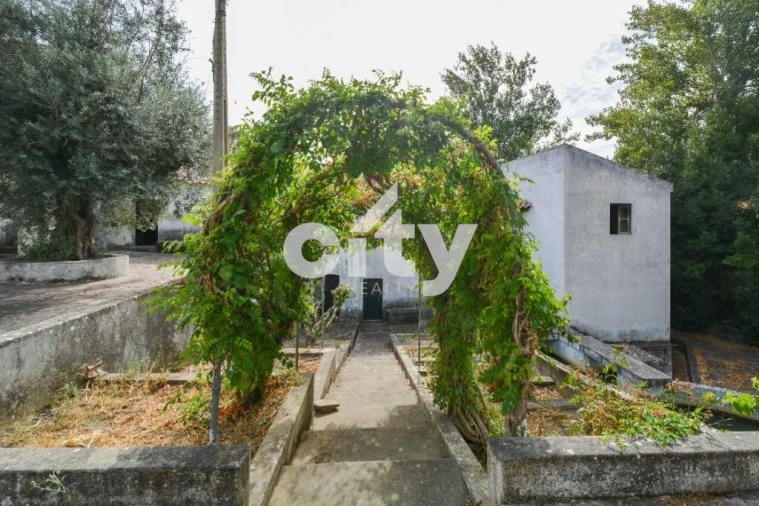 Quinta T8 para Venda em Alcórrego e Maranhão Foto 18