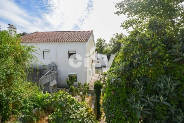 Quinta T8 para Venda em Alcórrego e Maranhão Foto 7