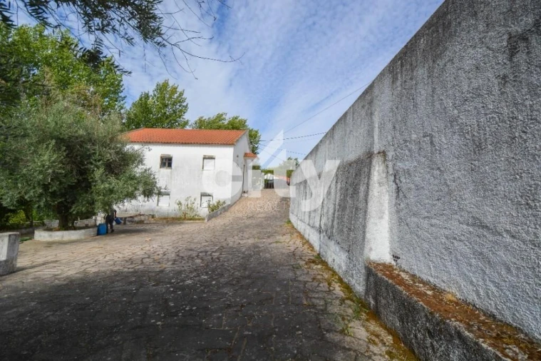 Quinta T8 para Venda em Alcórrego e Maranhão Foto 8