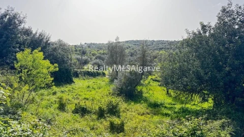 Moradia T4 para Venda em Loule (São Sebastião)