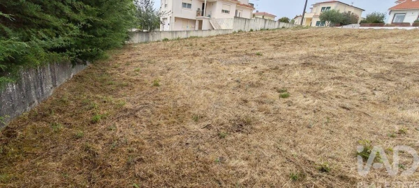 Terreno para Venda em Figueiró dos Vinhos e Bairradas