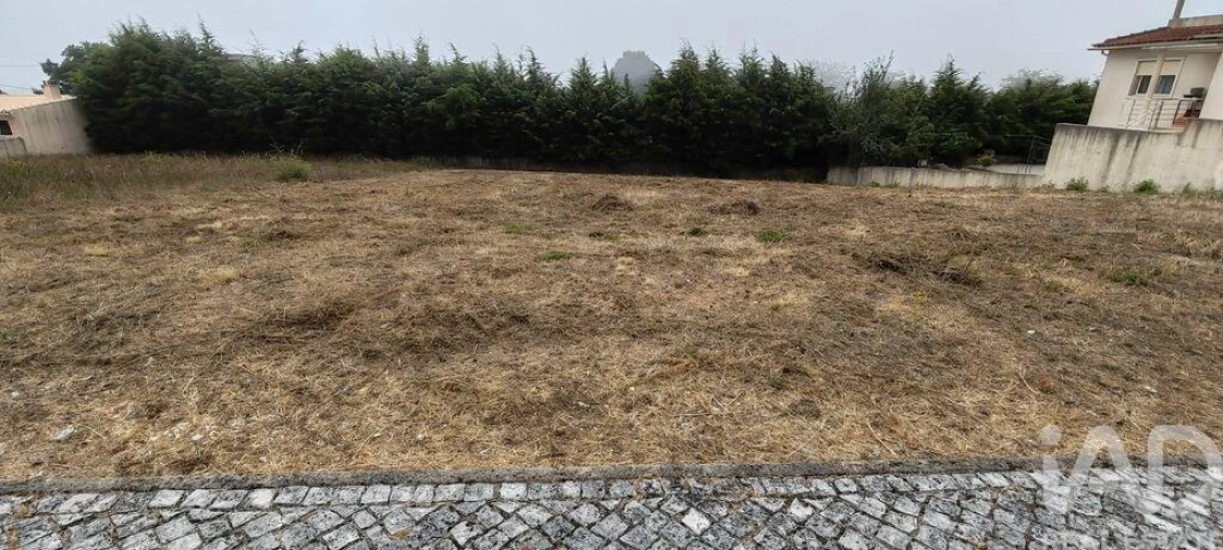 Terreno para Venda em Figueiró dos Vinhos e Bairradas Foto 4