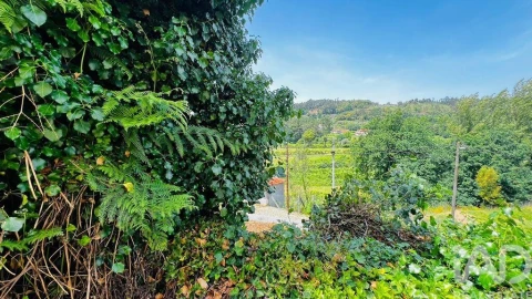 Moradia para Venda em Telões