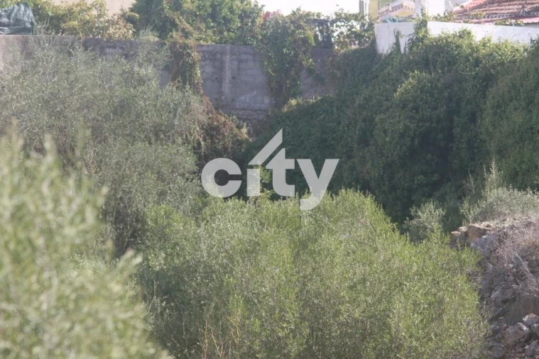 Terreno para Venda em Almargem do Bispo, Pêro Pinheiro e Montelavar Foto 29