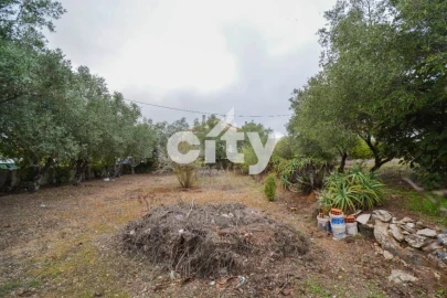 Terreno para Venda em Ramada e Caneças