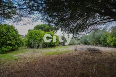 Terreno para Venda em Ramada e Caneças
