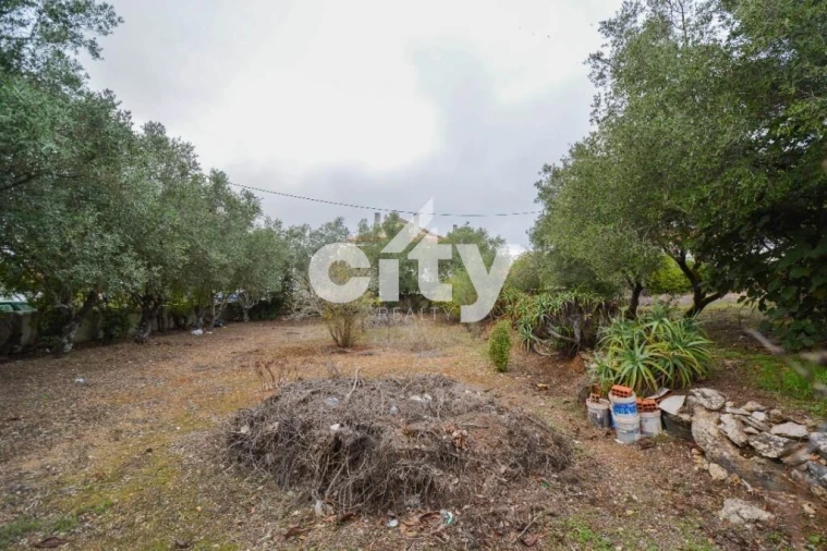 Terreno para Venda em Ramada e Caneças Foto 17