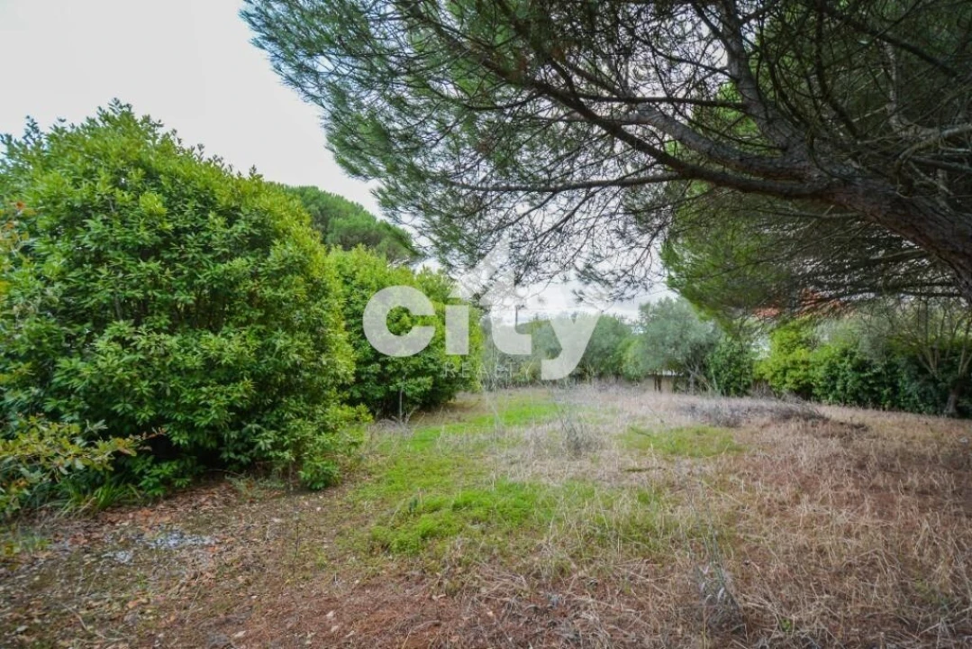 Terreno para Venda em Ramada e Caneças Foto 13