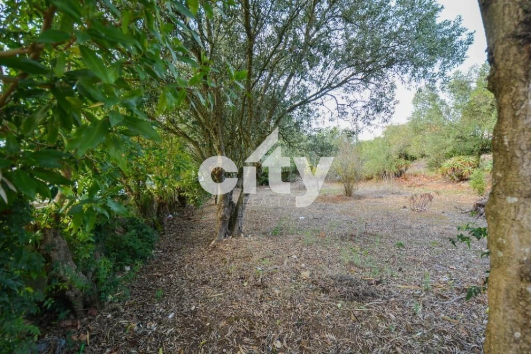 Terreno para Venda em Ramada e Caneças Foto 6