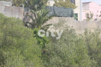 Terreno para Venda em Almargem do Bispo, Pêro Pinheiro e Montelavar
