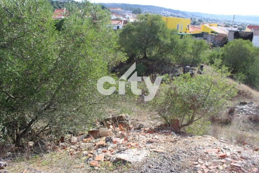 Terreno para Venda em Almargem do Bispo, Pêro Pinheiro e Montelavar Foto 11