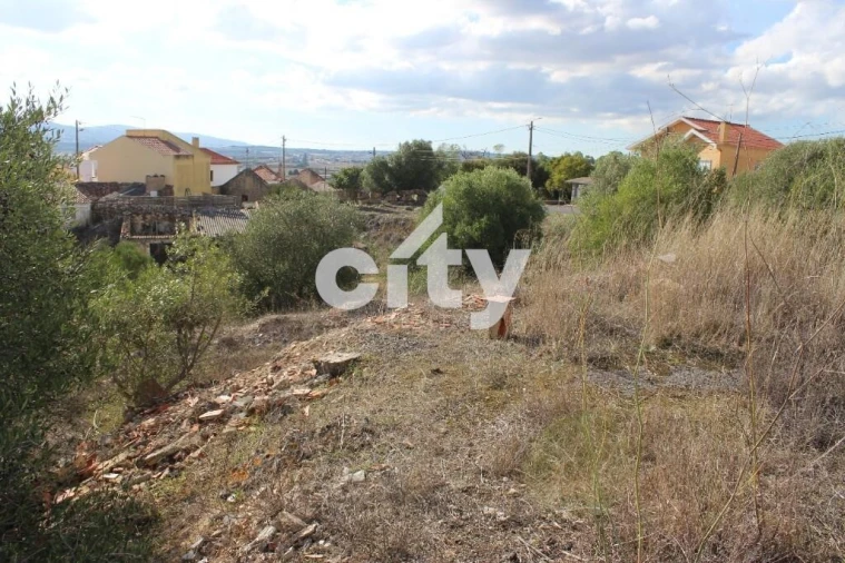 Terreno para Venda em Almargem do Bispo, Pêro Pinheiro e Montelavar Foto 13