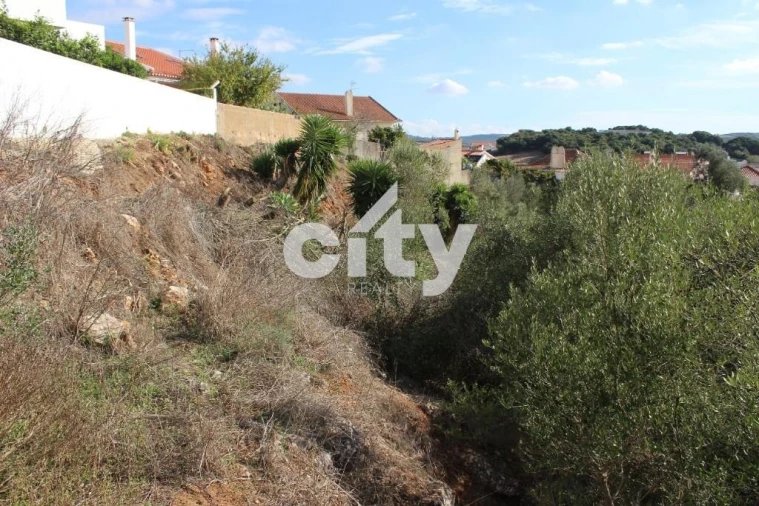 Terreno para Venda em Almargem do Bispo, Pêro Pinheiro e Montelavar Foto 12