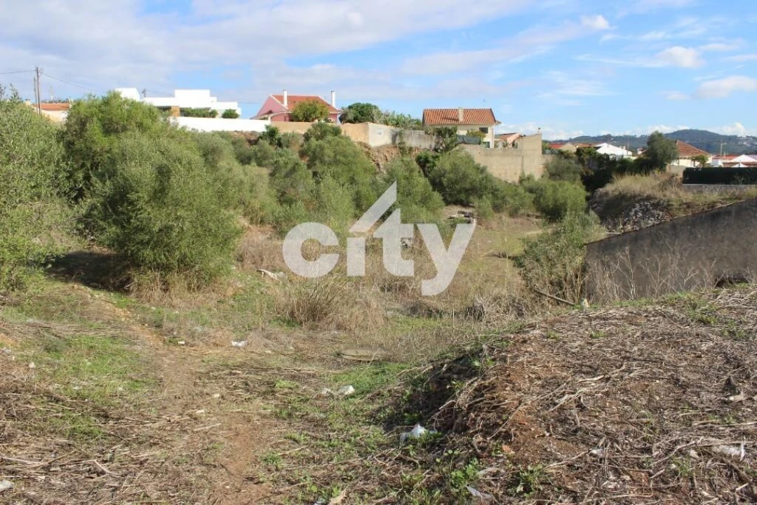 Terreno para Venda em Almargem do Bispo, Pêro Pinheiro e Montelavar Foto 3