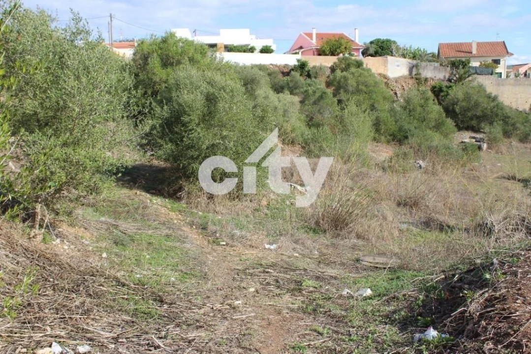 Terreno para Venda em Almargem do Bispo, Pêro Pinheiro e Montelavar Foto 4