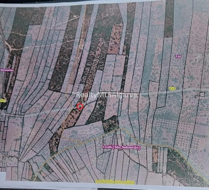 Terreno para Venda em Querença, Tôr e Benafim Foto 4