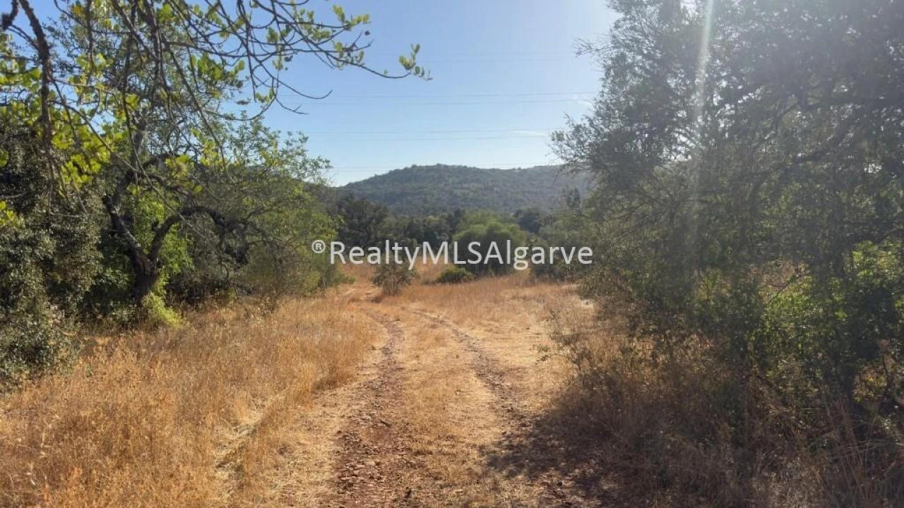 Terreno para Venda em Querença, Tôr e Benafim Foto 2