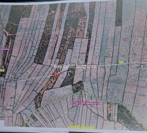 Terreno para Venda em Querença, Tôr e Benafim