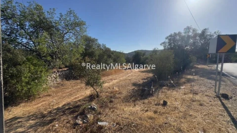 Terreno para Venda em Querença, Tôr e Benafim