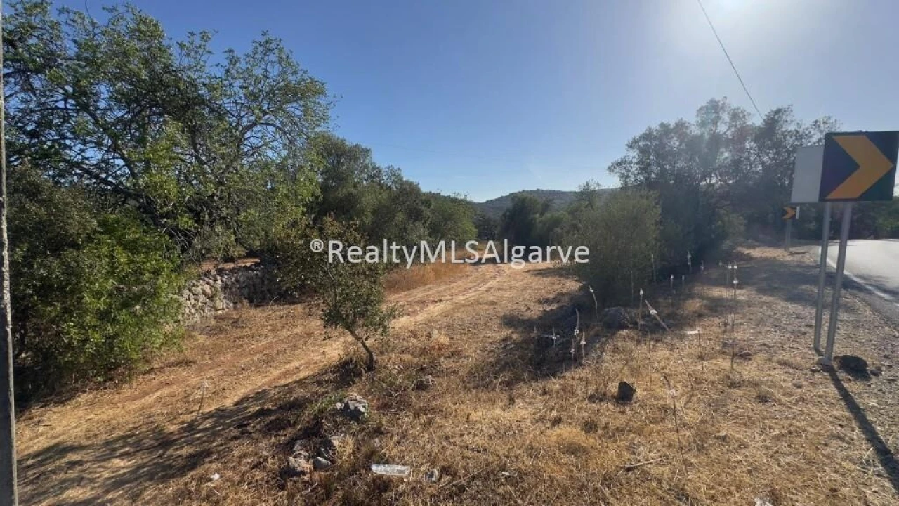 Terreno para Venda em Querença, Tôr e Benafim Foto 3