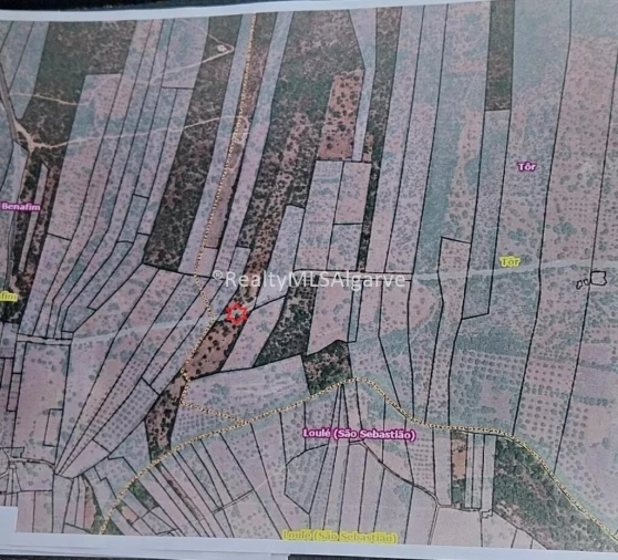 Terreno para Venda em Querença, Tôr e Benafim Foto 4