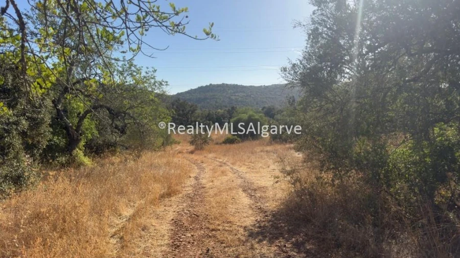 Terreno para Venda em Querença, Tôr e Benafim Foto 2