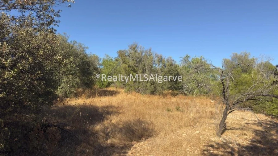 Terreno para Venda em Querença, Tôr e Benafim Foto 7