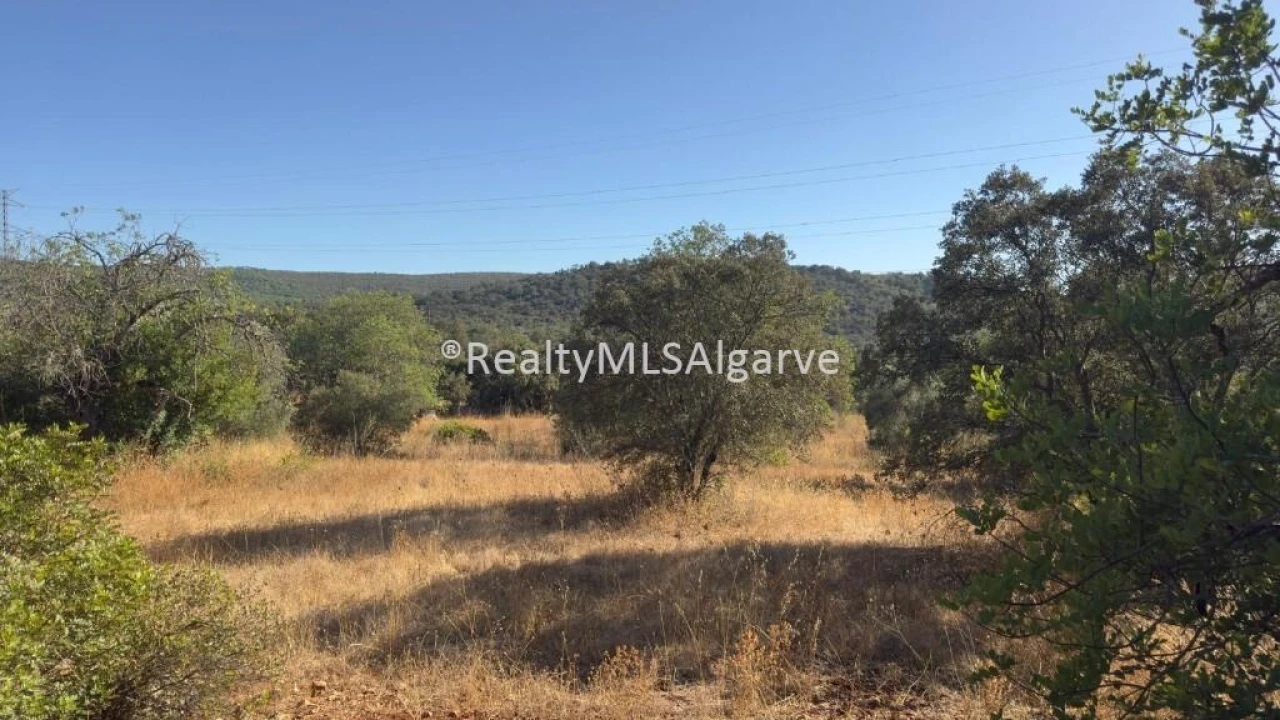 Terreno para Venda em Querença, Tôr e Benafim Foto 1