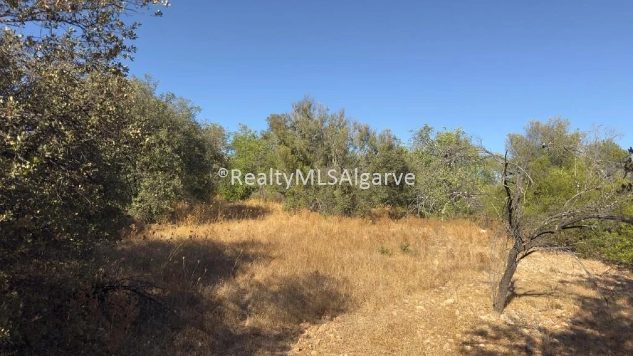 Terreno para Venda em Querença, Tôr e Benafim Foto 7
