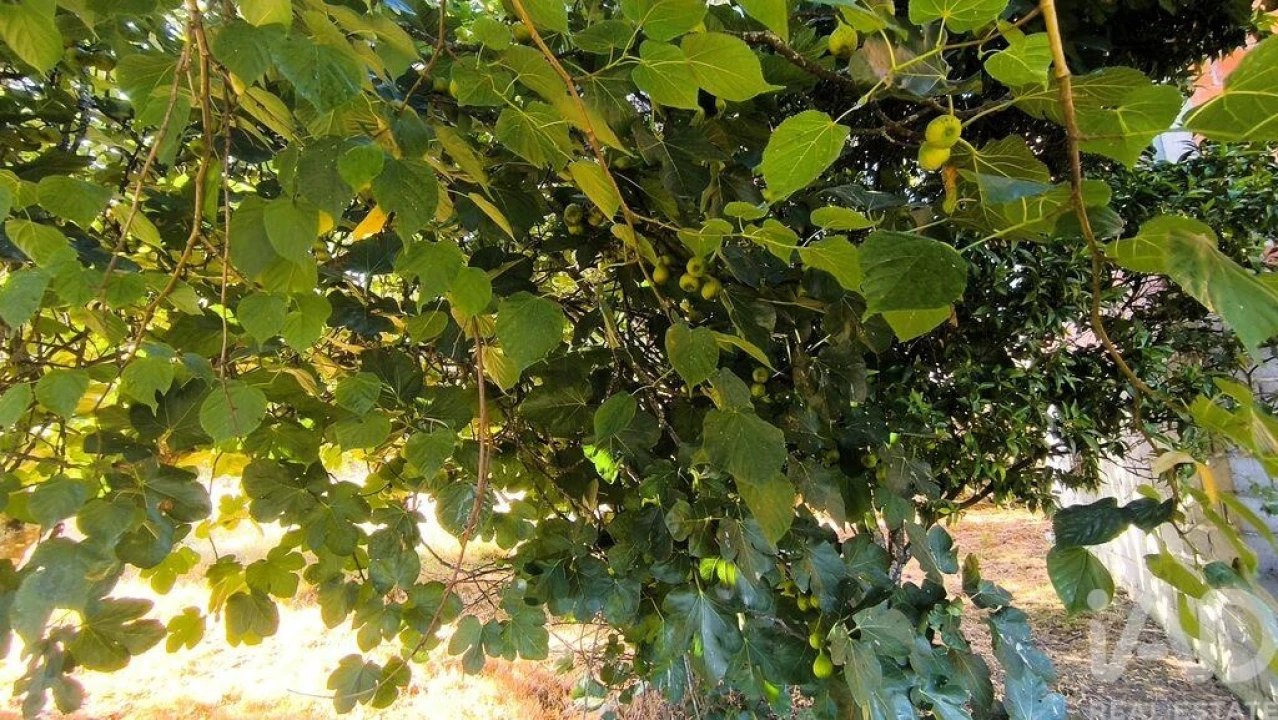 Moradia T3 para Venda em Moledo Foto 6