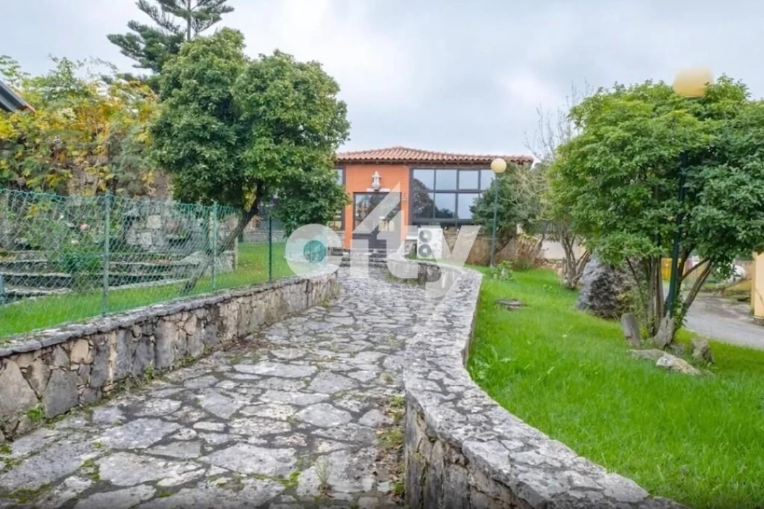 Quinta T5 para Venda em Minde Foto 5