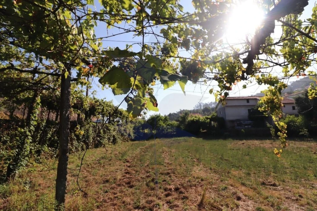 Terreno para Venda em Pico de Regalados, Gondiães e Mós Foto 2