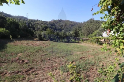 Terreno para Venda em Pico de Regalados, Gondiães e Mós