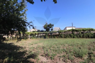 Terreno para Venda em Pico de Regalados, Gondiães e Mós