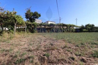 Terreno para Venda em Pico de Regalados, Gondiães e Mós