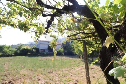 Terreno para Venda em Pico de Regalados, Gondiães e Mós